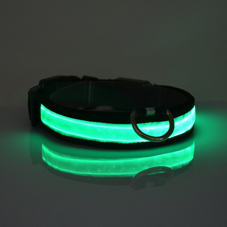 LED Dog Collar