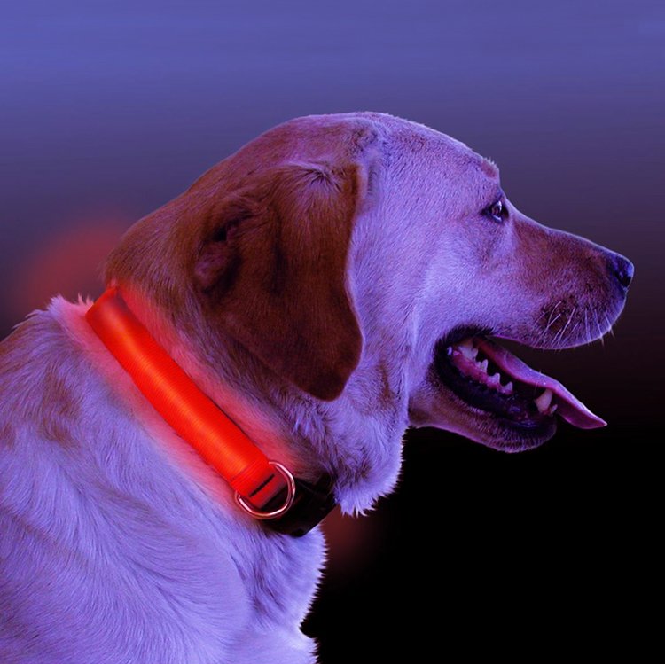 LED Dog Collar