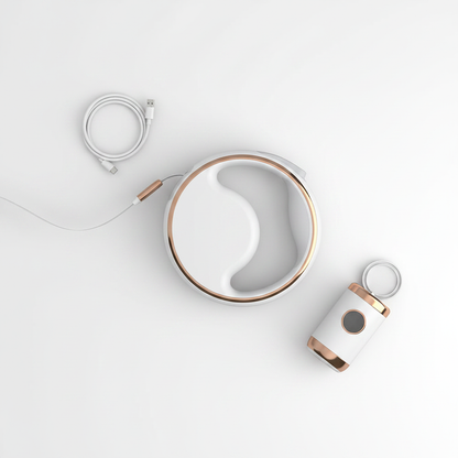 Dog Leash - Flat Lay